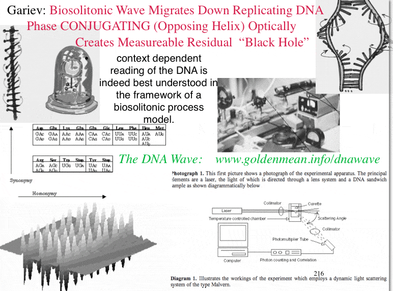 dnawave