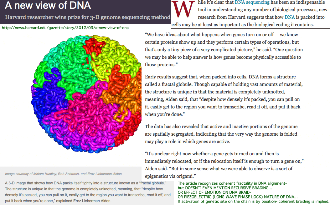 NewViewDNA