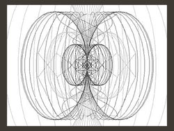 Energiefeld des Torus