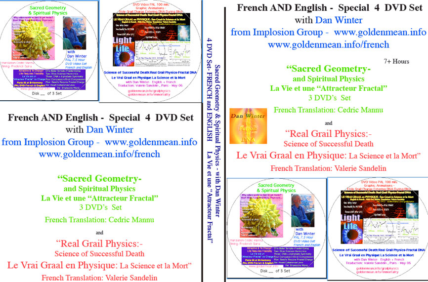 french4dvd